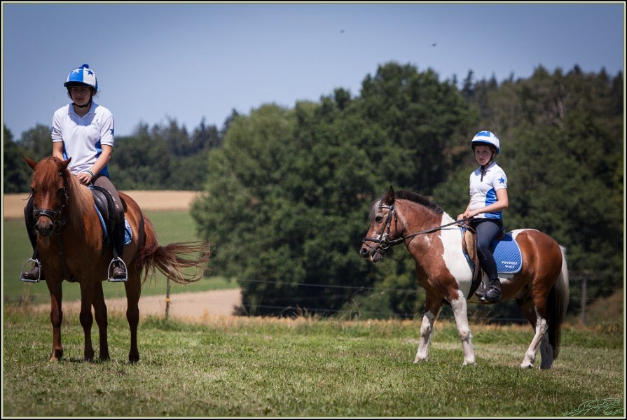 Mounted Games 221